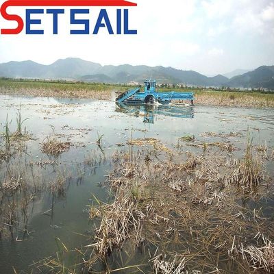 Vendere rifiuti galleggianti acquatici impianto raccoglitore per l'acqua giacinto 0,55m-2m progetto